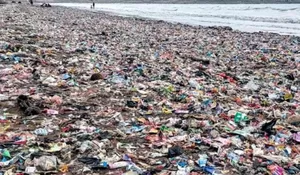 Waduh! Baru Sehari Dibersihin, Pesisir Loji Sukabumi Kembali Dipenuhi Sampah