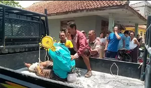 Diduga OGDJ, Pria Pukuli Penumpang Angkot Tumaritis