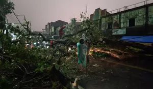 Pohon Tumbang Hingga Longsor Terjadi dalam Hitungan Jam di Kota Bogor