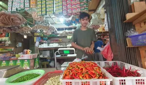 El Nino Mulai Terasa, Petani Kekeringan, Harga Cabai Merah Keriting di Depok Meroket