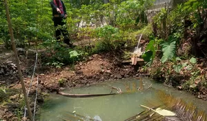 Upaya Kelurahan Cimpaeun Tekan Angka Stunting, Cipatakan Lahan P2L di Samping Gedung Kelurahan