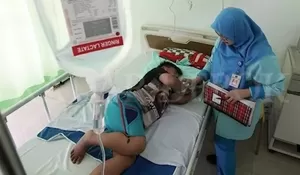 Waspada DBD di Depok, Ini Jumlah Kasusnya 