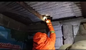 Damkar Depok Evakuasi Sarang Tawon di Kalibaru