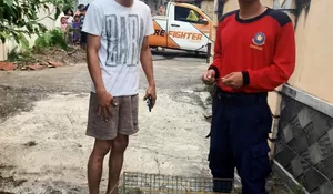Damkar Kota Depok Tangkap Monyet Liar di Sukamaju Baru