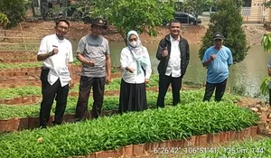 Sukseskan Program P2L, Kelurahan Cilangkap Siap Panen Sayuran