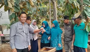 Panen Perdana Madu Lebah Trigona 