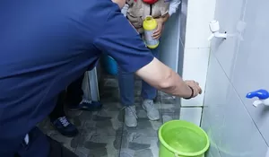 Sudah 4 Orang Meninggal Gegara Demam Berdarah, Ini yang Dilakukan Pemerintah Kota Bogor