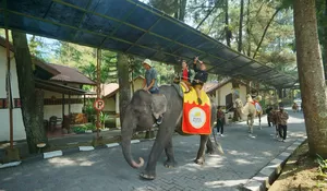 Upacara HUT RI ke 78, Royal Safari Garden Hadirkan Promo buat Tamu yang Lahir 17 Agustus! Cek Disini