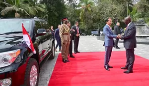 Disambut Presiden William Ruto, Ini yang Dilakukan Jokowi Selama di Kenya 