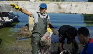 Bebersih Situ Gede, Dedie Rachim Kampanyekan Kota Bogor Bebas dari Sampah