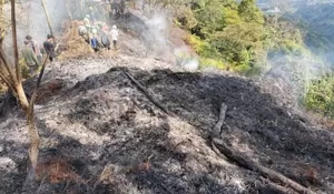 1 Hektare Hutan Gunung Salak Alami Kebakaran, Begini Kondisi Terakhirnya