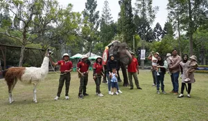 Hari Satwa Sedunia di Royal Safari Garden Bogor, Pengunjung Dapat Edukasi Satwa