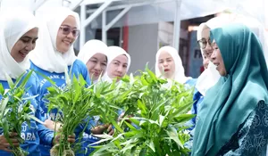 BRI Peduli Bertani di Kota Banjarmasin, Hasilkan Manfaat Pemberdayaan Positif di Lahan Sempit ala BRInita