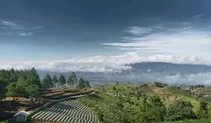 Cari Wisata di Majalengka? Ini Rute dan Fasilitas Bukit Kanaga yang Lagi Hits