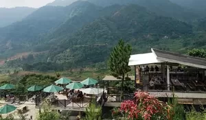 Wisata di Bogor, Ini 3 Destinasi Populer Menikmati Pemandangan dari Ketinggian Bukit