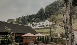 Mengungkap Keindahan The Olive Branch Pandaan, Destinasi Dengan Suasana Desa Ala Eropa di Pasuruan