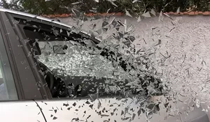 3 Fakta Laka Tunggal di Jember: Kronologi Mobil Wisatawan Tabrak Pohon Setelah Pulang Liburan Tahun Baru, 2 Orang Meninggal Dunia, Apa Penyebabnya?