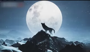 Apa itu Wolf Moon? Inilah Fenomena Alam Memukau yang Muncul Pada 3 Januari 2026