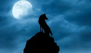 Fakta Menarik Bulan Purnama Pertama di Tahun 2026, Kenapa Disebut Wolf Moon?