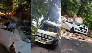 4 Fakta Kecelakaan Truck Fuso Bermuatan Triplek di Jalan Gumitir Jember, Kronologi, Jumlah Korban hingga Penyebab
