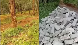 Banjir Pujian! Warga Tanggul Jember Gotong Royong Perbaiki Jalan Menuju Area Wisata Air Terjun Tancak Tulis, Gunakan Dana Pemasukan Hasil Iuran Parkir