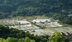 Desa Wisata Srimulyo di Bantul, Destinasi Alam dan Budaya di Antara Sungai Opak dan Gawe yang Terus Berkembang Berbasis Komunitas