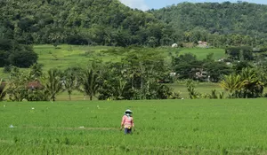 7 Alasan Desa Wisata Krebet Bantul di Yogyakarta Menarik Dikunjungi, Ada Kerajinan Batik Kayu sampai Prestasi Nasional