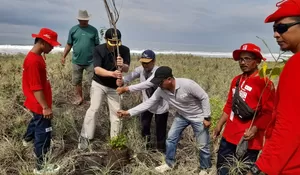 Menghadapi Ancaman Megathrust, Sibat PMI Jember Lakukan Reboisasi dan Sosialisasi Mitigasi di Pesisir Selatan