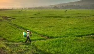 Sering Gagal Usaha dan Merasa Buntu? Ini Amalan Bacaan yang Diajarkan Abah Guru Sekumpul Usai Sholat 5 Waktu