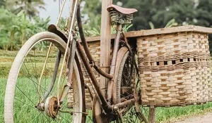 Daya Tarik Desa Wisata Gabugan Sleman Yogyakarta, Konsep Pedesaan Alami dengan Agrowisata Salak Gading dan Aktivitas Edukatif