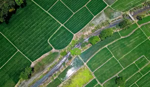 Desa Wisata Banjaroya Kulon Progo di Lereng Menoreh, Alternatif Wisata Alam dan Budaya Dekat Yogyakarta