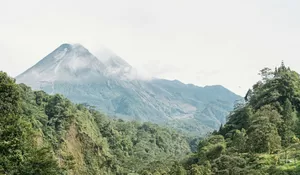 Berkembang sejak 2015, Desa Wisata Kaki Langit Mangunan Jadi Simbol Kebangkitan Pariwisata Perbukitan Yogyakarta