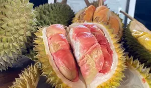 Mengenal Durian Merah Banyuwangi, Jenis Durian Langka yang Kini Resmi Bersertifikat Indikasi Geografis