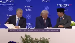 Bertujuan Memperjuangkan Two State Solution bagi Palestina, Menlu Sugiono Jawab Perdebatan Keikutsertaan Indonesia di Board of Peace Bentukan Trump