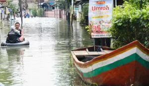 15 Hari Sawah di Pati Terendam Banjir, 150 Hektare Lahan Pertanian Terancam Gagal Panen