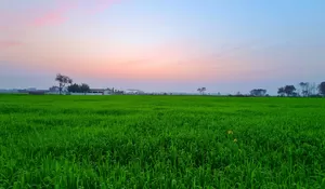 Desa Wisata Adat Arjasa Jember: Destinasi Edukasi Budaya dengan Warisan Megalitikum, Seni Ritual, hingga Kuliner Khas Lokal