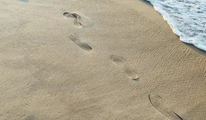 Pantai Nanggelan Jember di Meru Betiri, Hamparan Pasir Cappuccino dengan Gugusan Karang dan Alam Hutan Lindung