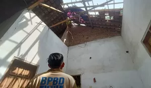 Cuaca Ekstrem Terjang Jember, Satu Warga Kecamatan Ledokombo Meninggal Tertimpa Pohon