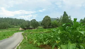 Desa Wisata Kelor Sleman: Destinasi Tenang di Lereng Merapi dengan Sungai Gendhol Jernih dan Aktivitas Alam Lengkap