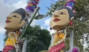 Manten Tebu! Tradisi Cembengan di Yogyakarta Ini Menikahkan Tebu bak Manusia, Ada Ijab dan Maharnya, Begini Rangkaiannya