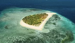 Tak Berpenghuni! Pulau Tabuhan Banyuwangi Menyimpan Sejuta Keindahan Bawah Laut bak Surga Dunia, Ini Kelebihannya...