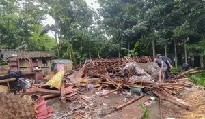 Satu Rumah Roboh dan Penghuni Terluka di Arjasa, BPBD Jember Bakal Beri Bantuan Material Bangunan