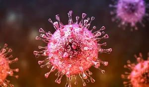Waspada Virus Nipah: Ancaman Zoonosis Mematikan yang Perlu Diantisipasi Tanpa Kepanikan