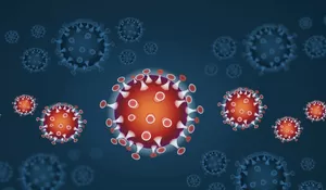 Virus Nipah Ada Sejak 27 Tahun yang Lalu! Berikut Pengertian, Gejala dan Penularannya hingga Cara Pencegahannya...