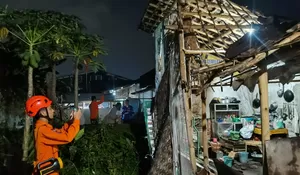Rumah Roboh dan Pohon Tumbang Dampak Cuaca Ekstrem Terjang Jember Beberapa Hari Terakhir