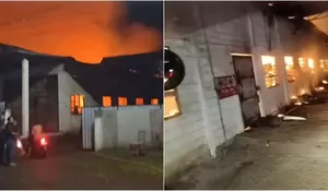Kronologi Kebakaran Gudang Tembakau di Desa Panduman Jember, Tidak Ada Korban Jiwa Namun Kerugian Ditaksir Mencapai Milyaran Rupiah, Apa Penyebabnya?
