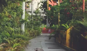 Masih Jarang Disorot, Desa Wisata Nawung Sleman Hadirkan Wisata Alam, Edukasi, dan Kesenian Tradisional Sekaligus