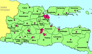 Isu 3 Provinsi Baru akan Lahir dari Pemekaran Wilayah Jawa Timur Mencuat, Kabupaten Jember Jadi Ibukota Blambangan?