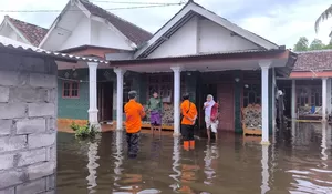 Banjir masih Rendam Puluhan Rumah Warga di Desa Mayangan Gumukmas, BPBD Jember Salurkan Bantuan