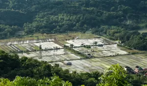 Pesona Desa Wisata Nglinggo Kulon Progo, Perpaduan Alam Asri, Budaya Lokal, dan Wisata Edukatif yang Bikin Betah